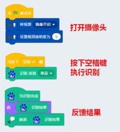 人工智能插件應(yīng)用 賦能大腦識別與軟件開發(fā)新紀(jì)元